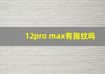 12pro max有指纹吗